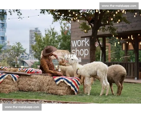 法斗滑板宽窄巷！成都萌宠又添新网红打卡地