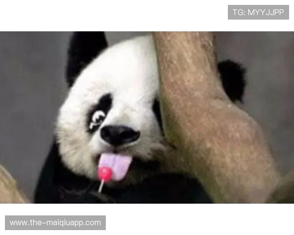 墨西哥为 35 岁大熊猫 “欣欣” 庆生 海外最长寿 “友谊大使” 迎百岁华诞